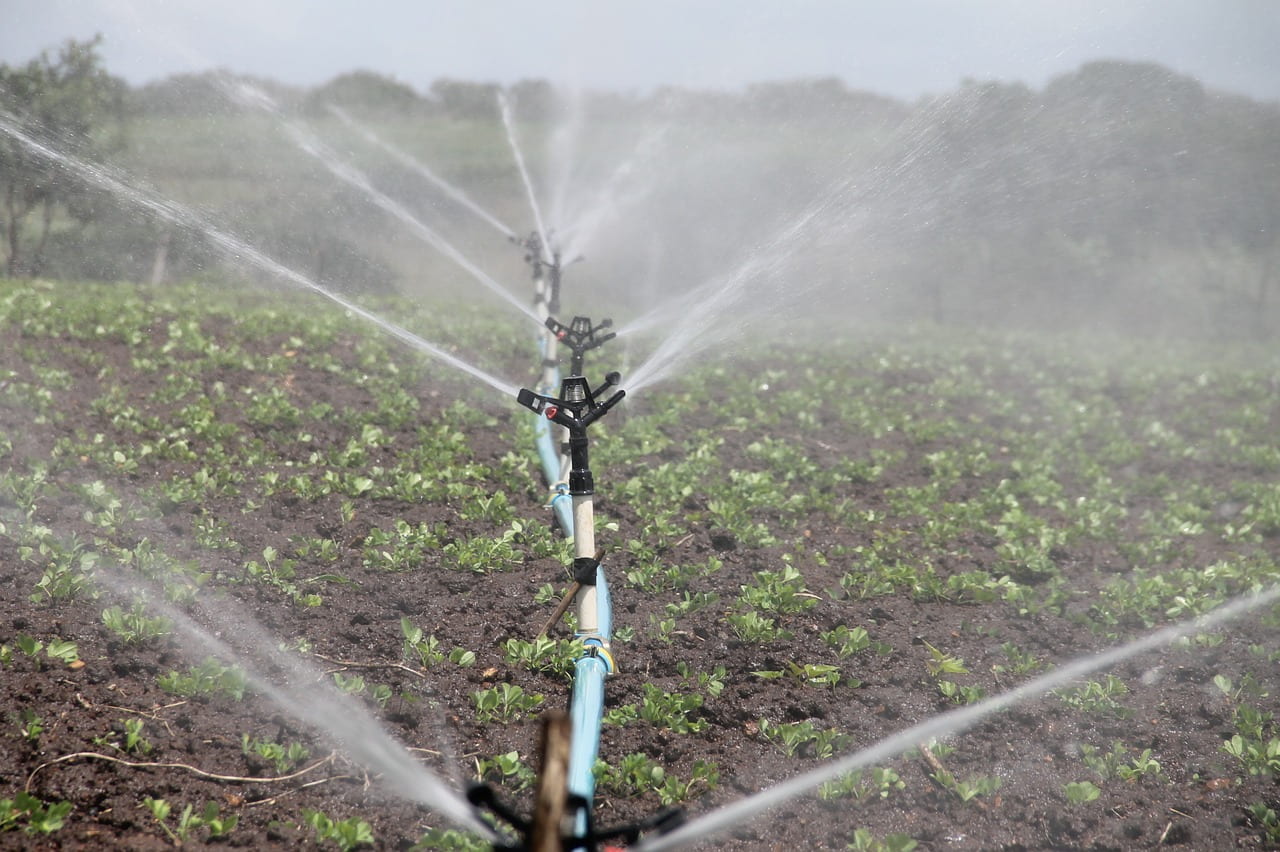 Irrigation is the distribution of water over crops. This may not seem like a big issue but it can be. The underground water table rises, there is an quick increase in evaporation rates, and the rivers begin to dry up.