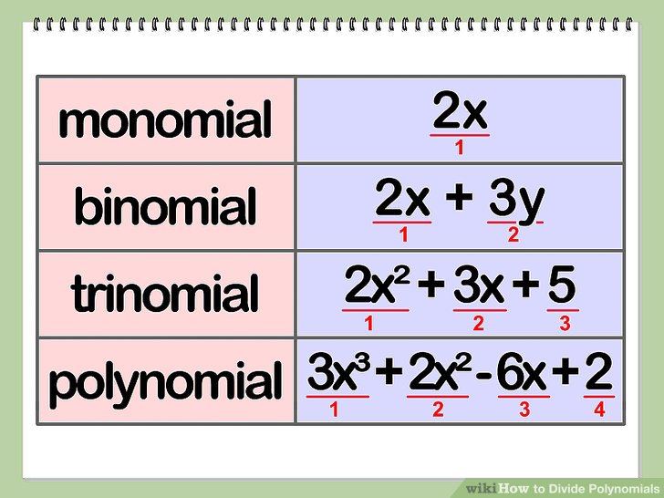 What polynomial has 2 terms?