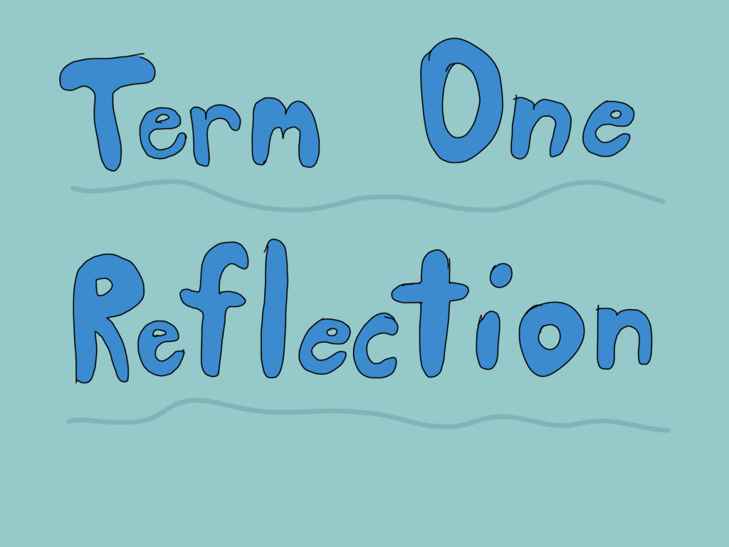 Term 1 Reflection!🤔