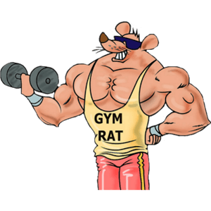 O Que é GYM RATS em Português