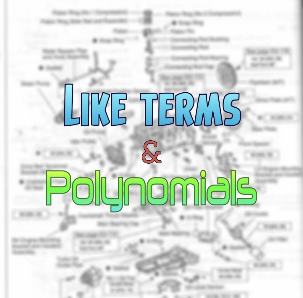 Like terms and Polynomials