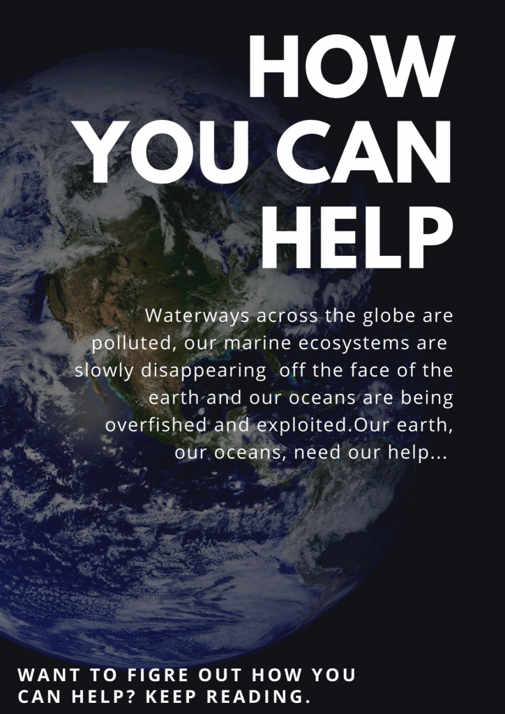 How You Can Help our Oceans: An Infographic