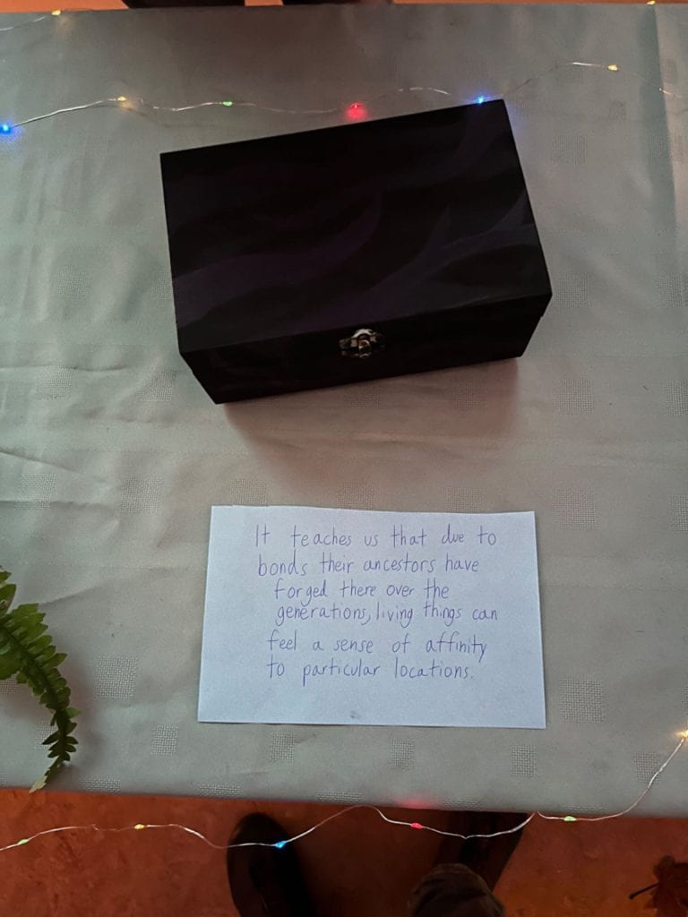 This was a photo of my box from the Exhibition.